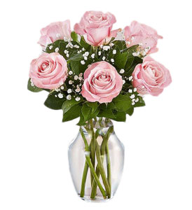 DF 44- 6 Pink rose in a vase. 