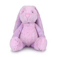 Teddy Frankie bunny Purple 
